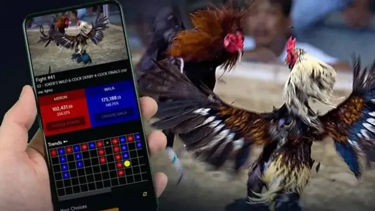 Đá Gà SV388 Trực Tiếp Từ Trường Gà Quốc Tế Đỉnh Cao Nhất 2025